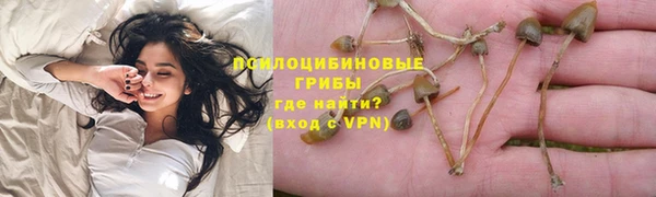 гидропоника Пересвет