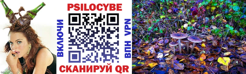 mega сайт Каменск-Шахтинский Псилоцибиновые грибы мухоморы