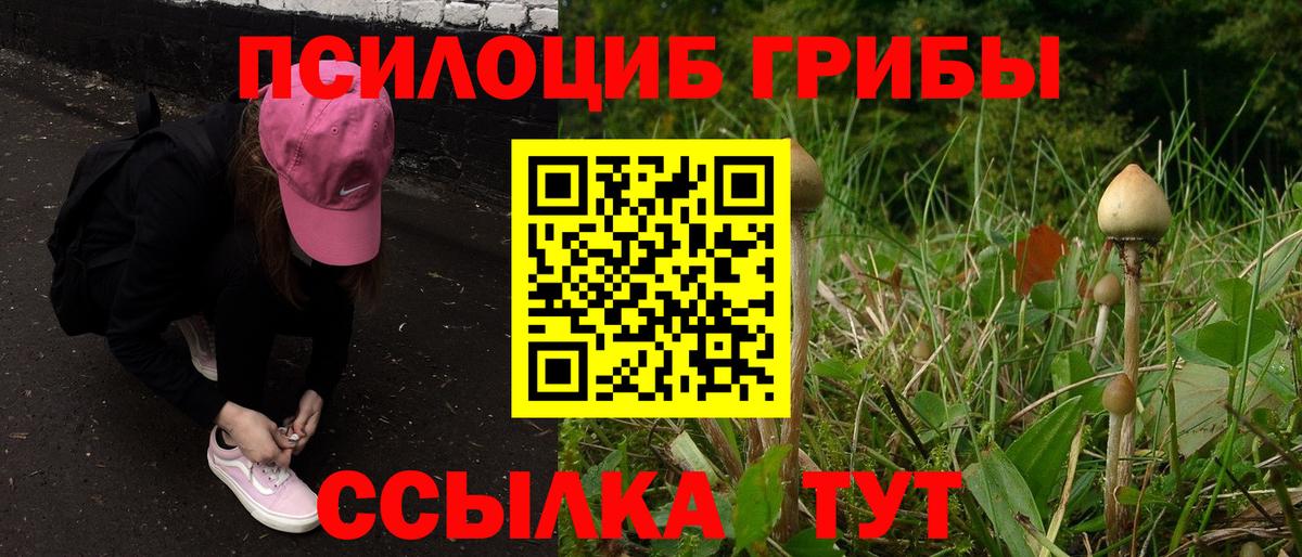 Галлюциногенные грибы GOLDEN TEACHER Каменск-Шахтинский
