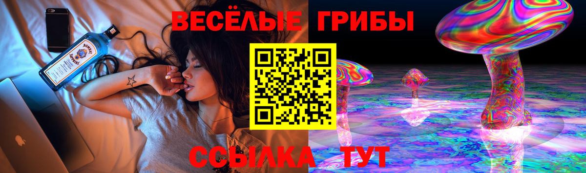 Каменск-Шахтинский  Галлюциногенные грибы ЛСД  Вход с VPN  Галлюциногенные грибы Magic Shrooms 
