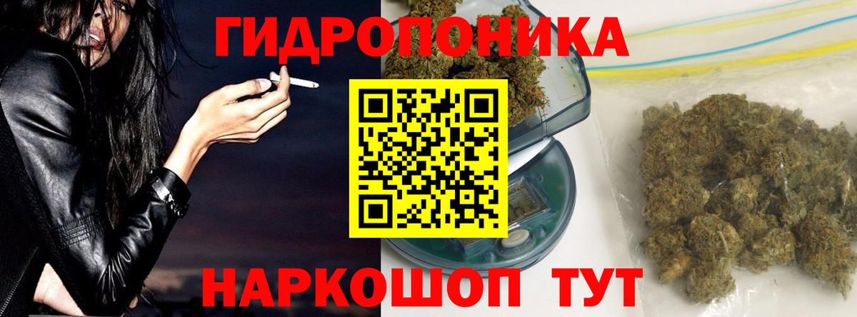 Конопля планчик Каменск-Шахтинский